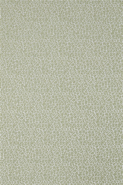 CELADON